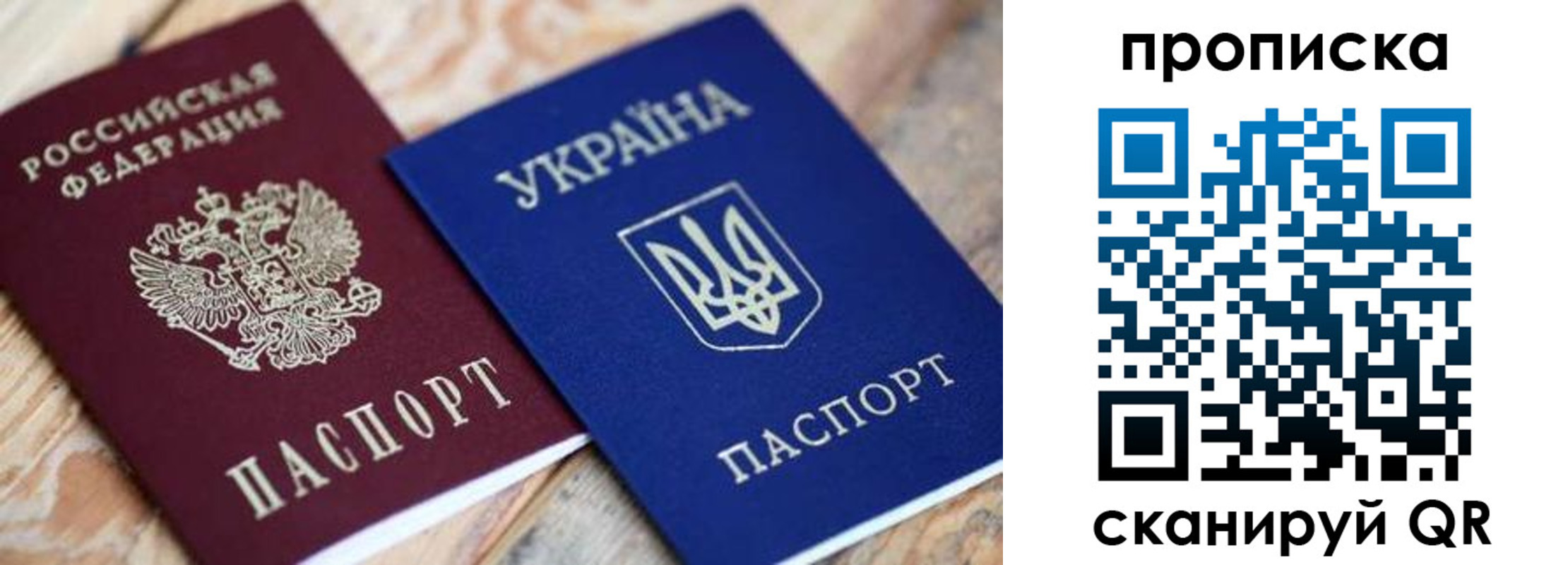 прописка поиск в Мытищах